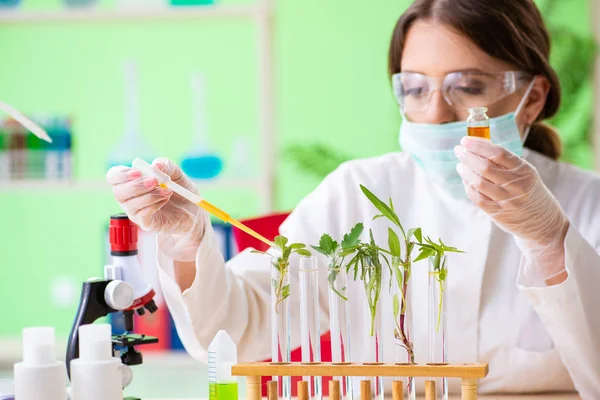 Bela mulher biotecnologia cientista químico trabalhando em laboratório — Fotografia de Stock