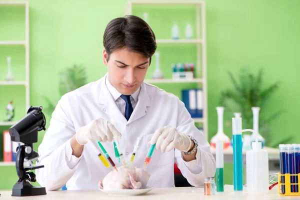 Asistente de laboratorio probando pollo transgénico — Foto de Stock
