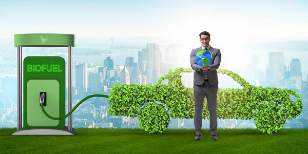 Concept of bio fuel and ecology preservation