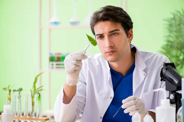 Jonge biotechnologie wetenschapper chemicus werkt in het lab — Stockfoto