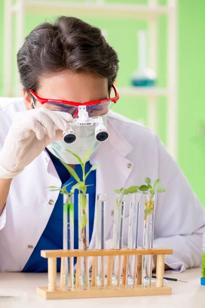Joven biotecnólogo químico trabajando en laboratorio — Foto de Stock