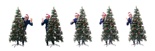 Empresario decorando árbol de navidad aislado en blanco —  Fotos de Stock