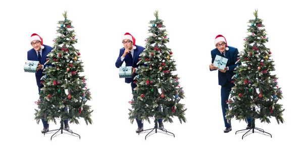 Empresario decorando árbol de navidad aislado en blanco —  Fotos de Stock