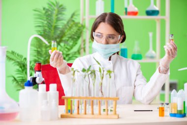 Güzel kadın biyoteknoloji bilim adamı kimyager laboratuarda çalışıyor.