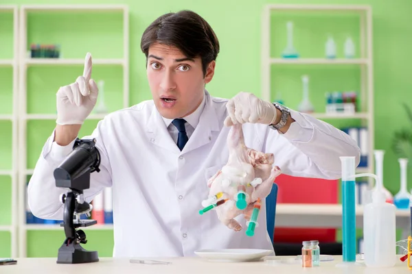 Assistente di laboratorio al test del pollo OGM — Foto Stock