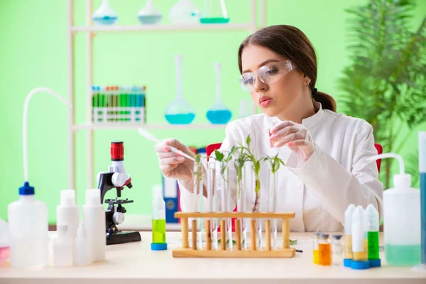 Hermosa mujer biotecnológica científica química trabajando en laboratorio —  Fotos de Stock