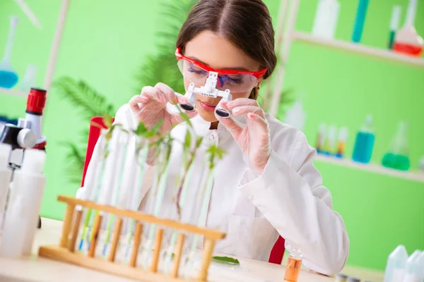 Hermosa mujer biotecnológica científica química trabajando en laboratorio — Foto de Stock