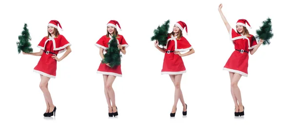 Young woman in red santa costume on white — Stock Photo, Image