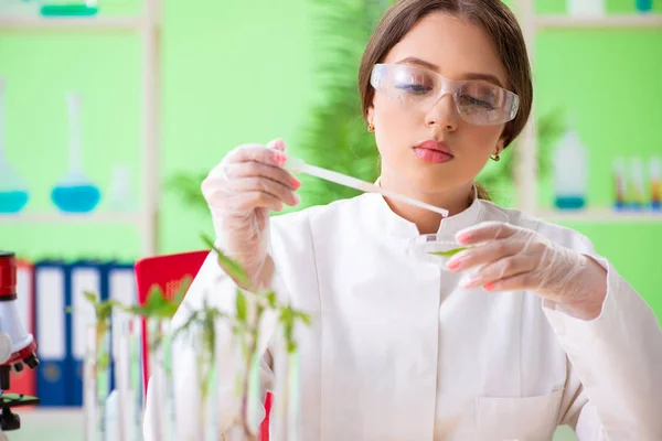 Bela mulher biotecnologia cientista químico trabalhando em laboratório — Fotografia de Stock