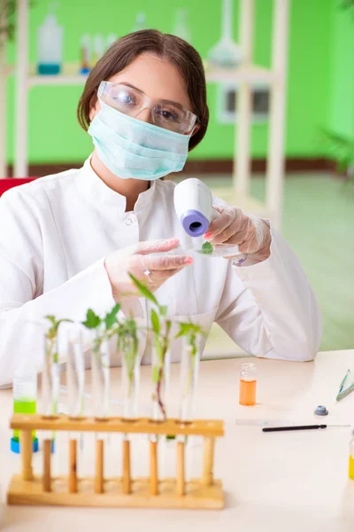 Gyönyörű női biotechnológia tudós vegyész dolgozik laborban — Stock Fotó