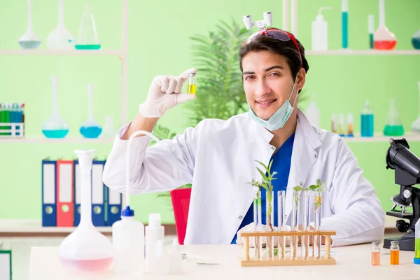 Jeune chimiste biotechnicien travaillant en laboratoire — Photo