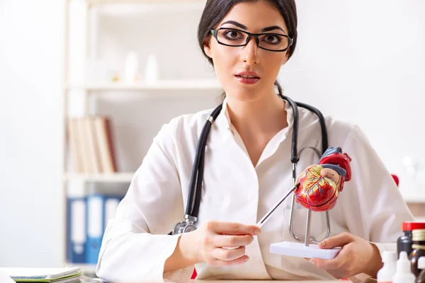 Kvinna läkare visar hjärtat modell för studenter — Stockfoto
