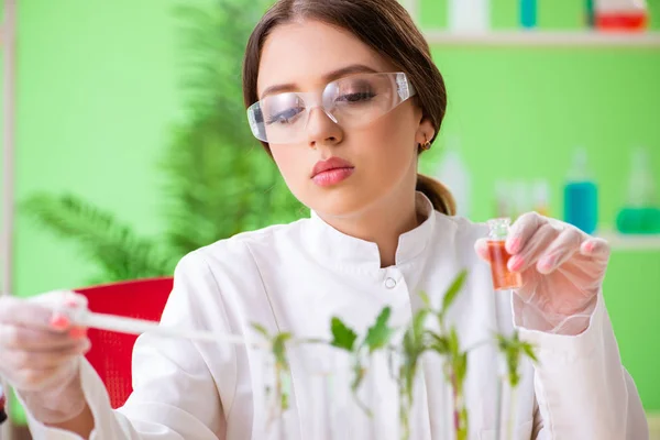 Hermosa mujer biotecnológica científica química trabajando en laboratorio — Foto de Stock