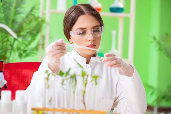 Hermosa mujer biotecnológica científica química trabajando en laboratorio —  Fotos de Stock