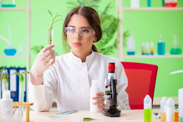 Bela mulher biotecnologia cientista químico trabalhando em laboratório — Fotografia de Stock