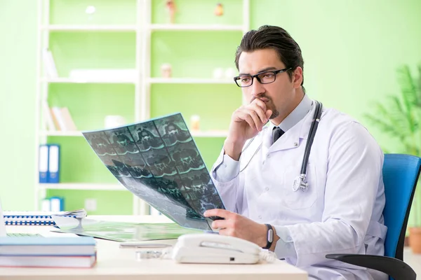 Doctor radiologist looking at x-ray scan in hospital — Stock Photo, Image