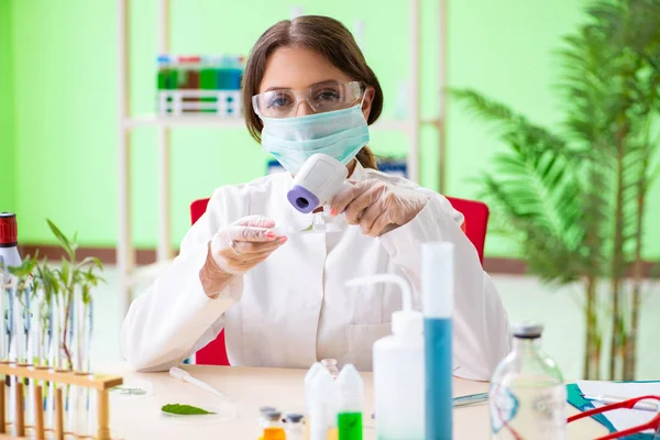 Güzel kadın biyoteknoloji bilim adamı kimyager laboratuarda çalışıyor. — Stok fotoğraf