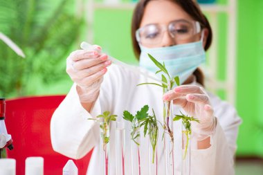 Güzel kadın biyoteknoloji bilim adamı kimyager laboratuarda çalışıyor.