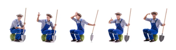 Jeune agriculteur avec pastèque isolé sur blanc — Photo