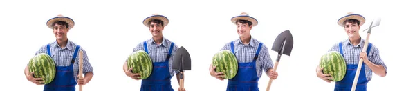 Jovem agricultor com melancia isolada em branco — Fotografia de Stock