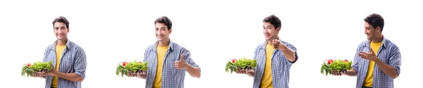 Hombre con cesta de frutas y verduras —  Fotos de Stock