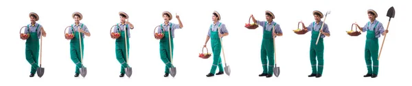 Joven agricultor aislado sobre el fondo blanco — Foto de Stock