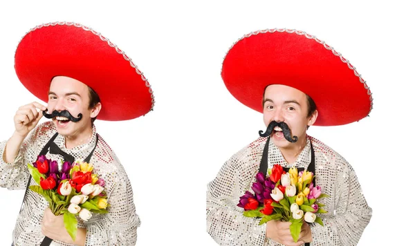 Lustiger Mexikaner mit Sombrero-Hut — Stockfoto