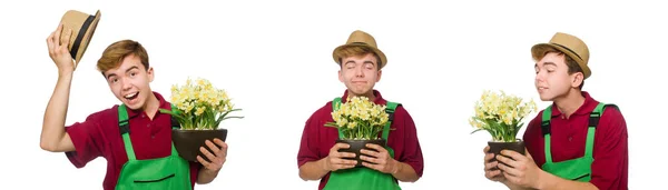 Young gardener with flower isolated on white — Stock Photo, Image