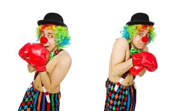 Клоун з боксерськими рукавичками ізольовані на білому — стокове фото