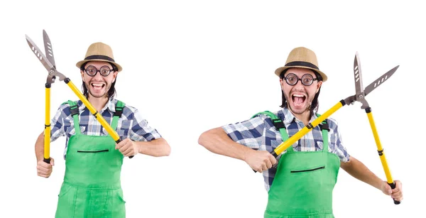 Jardinero divertido con tijeras aisladas en blanco —  Fotos de Stock