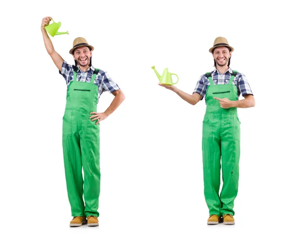 Young cheerful gardener with watering can isolated on white — Stock Photo, Image