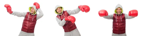 Mann trägt Boxhandschuhe isoliert auf weißem Grund — Stockfoto