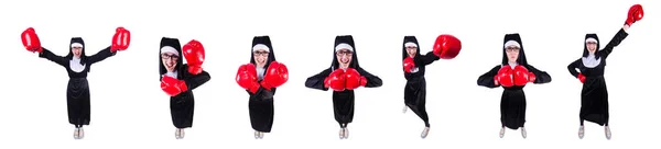 Nonne mit Boxhandschuhen isoliert auf weiß — Stockfoto