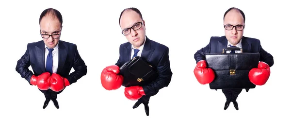 Young businessman boxer isolated on white — Stock Photo, Image