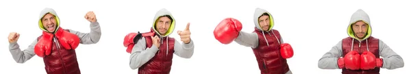Hombre con guantes de boxeo aislados en blanco —  Fotos de Stock