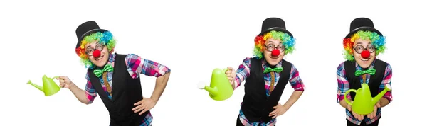 Clown geïsoleerd op de witte achtergrond — Stockfoto