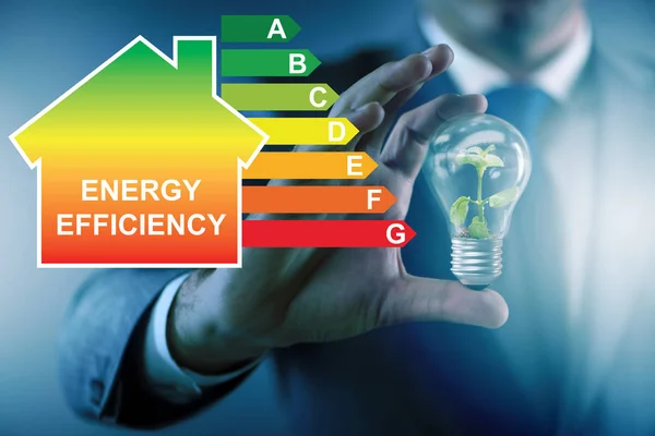 Zakenman in het concept energie-efficiëntie — Stockfoto