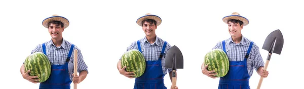 Jeune agriculteur avec pastèque isolé sur blanc — Photo