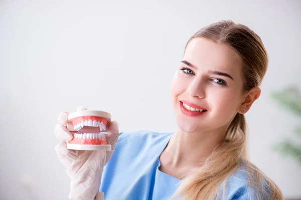 Enfermera doctora joven con prótesis dentales —  Fotos de Stock