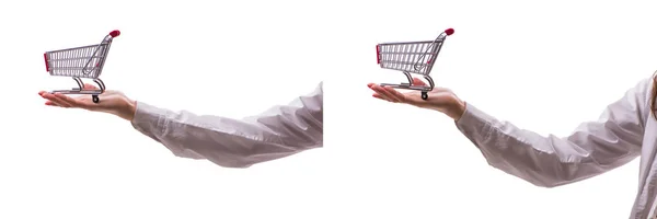 Hand holding shopping cart isolated on white — Stock Photo, Image