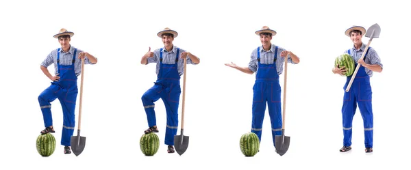 Joven Agricultor Con Sandía Aislada Sobre Blanco —  Fotos de Stock