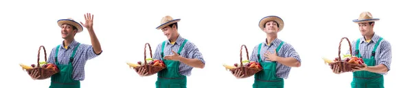 Joven agricultor aislado sobre el fondo blanco —  Fotos de Stock