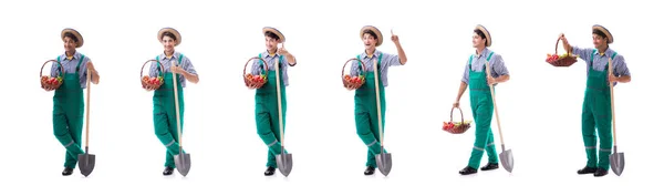 Young farmer isolated on the white background — Stock Photo, Image