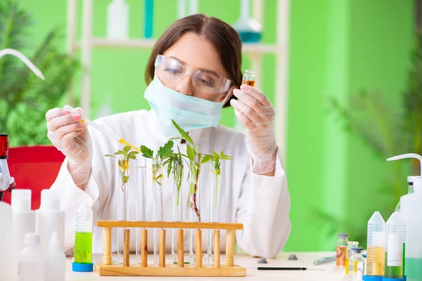 Wanita cantik ilmuwan bioteknologi bekerja di laboratorium — Stok Foto