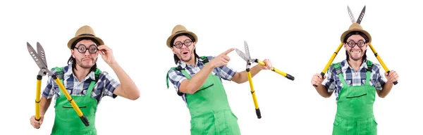 Jardinero divertido con tijeras aisladas en blanco —  Fotos de Stock