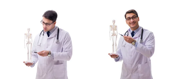 Yong manliga läkare med skelett isolerat på vitt — Stockfoto