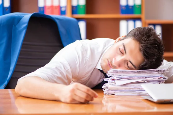 Young employee working in the office — Stock Photo, Image