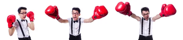 Lustige Boxer Isoliert Auf Weißem Hintergrund — Stockfoto