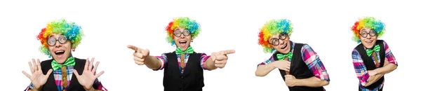 Clown geïsoleerd op de witte achtergrond — Stockfoto