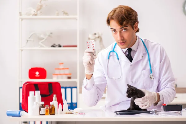 Tierarzt untersucht Kätzchen in Tierklinik — Stockfoto